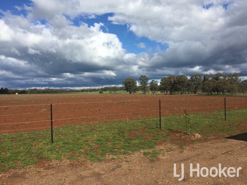 76 Thomas Lane, Inverell NSW 2360