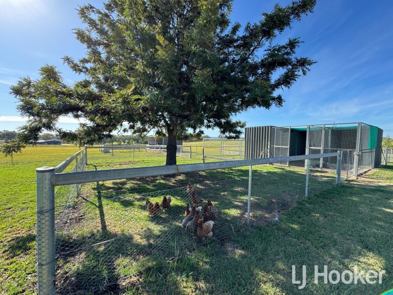 496 Yetman Road, Inverell NSW 2360