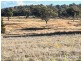 Lot 133/ Dog Trap Lane, Inverell NSW 2360