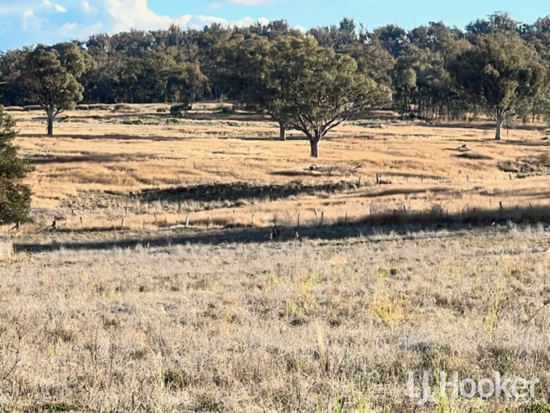 Lot 133/ Dog Trap Lane, Inverell NSW 2360