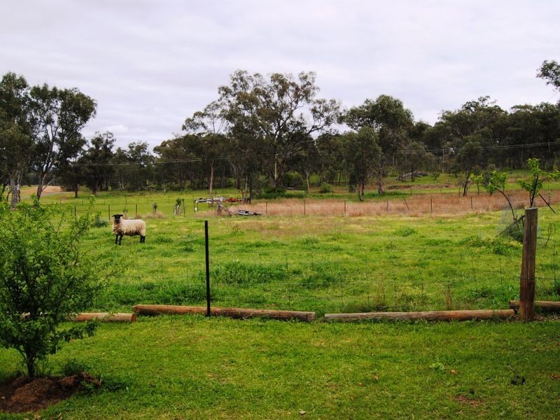 20 Baker Street, Bundarra NSW 2359