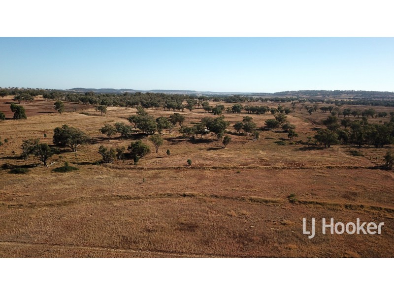 Gwydir Highway, Inverell NSW 2360