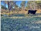 296 Limestone Road, Inverell NSW 2360