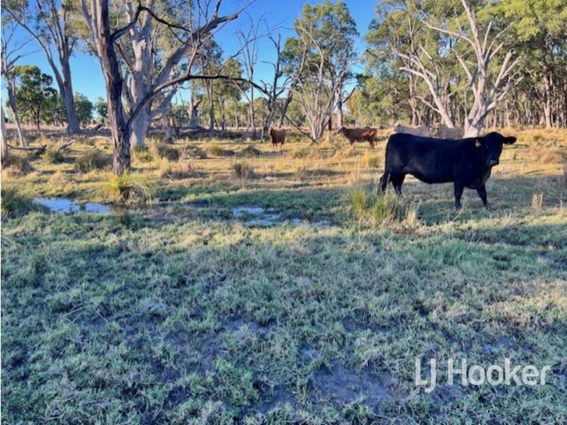 296 Limestone Road, Inverell NSW 2360