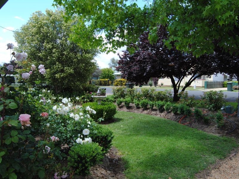 15 Chisholm Street, Inverell NSW 2360