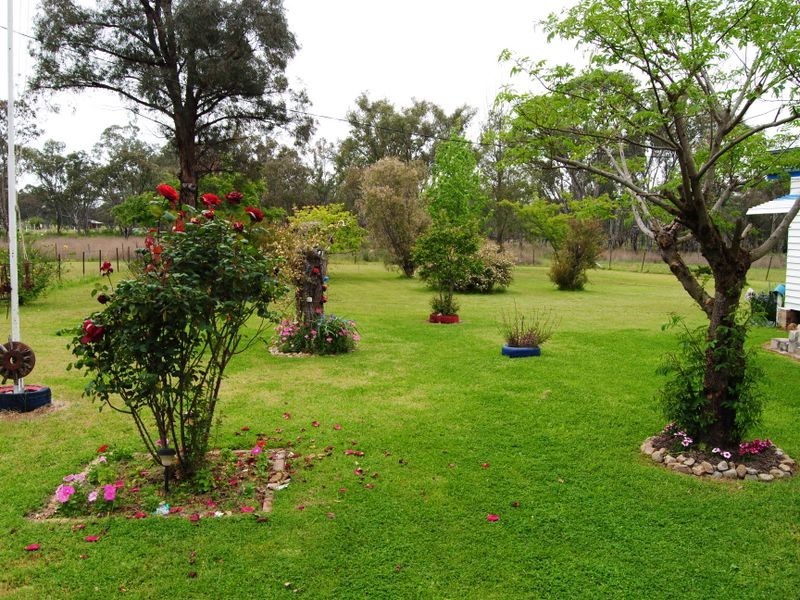 181 Hospital Flat Road, Tingha NSW 2369