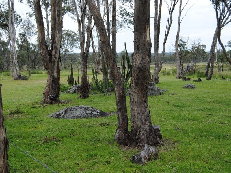 181 Hospital Flat Road, Tingha NSW 2369