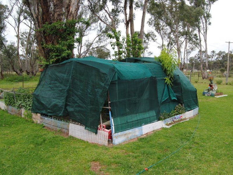 181 Hospital Flat Road, Tingha NSW 2369