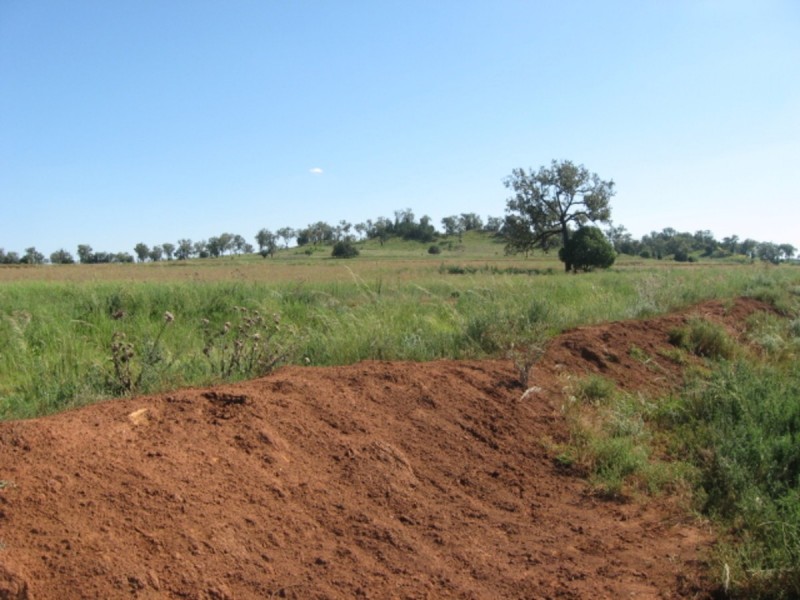 Alan Cunningham Road, Bingara NSW 2404