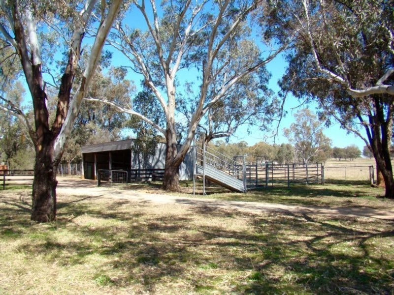 767 Dintonvale Road, Inverell NSW 2360