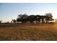 9 Masons Lane, Inverell NSW 2360