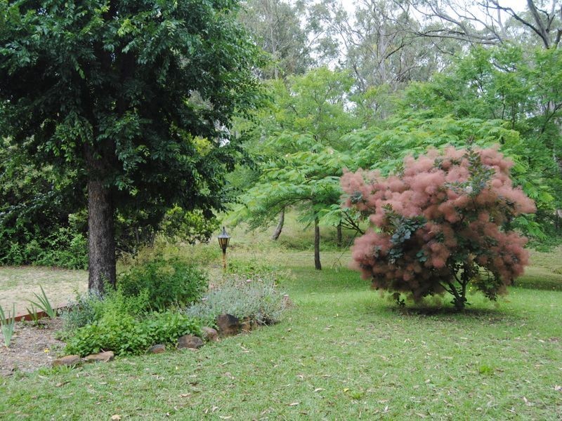 31 Butler Street, Inverell NSW 2360