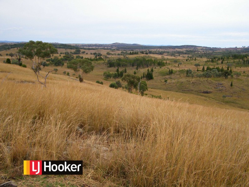 2075 Emmaville Road, Ashford NSW 2361