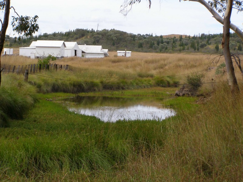 2075 Emmaville Road, Ashford NSW 2361