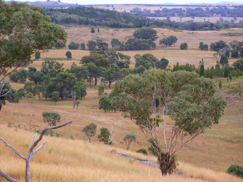 2075 Emmaville Road, Ashford NSW 2361