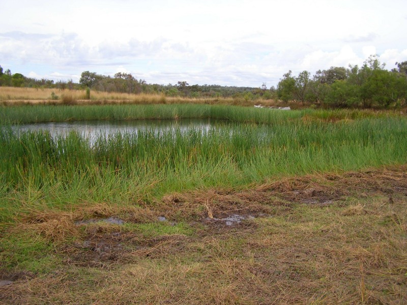 2075 Emmaville Road, Ashford NSW 2361