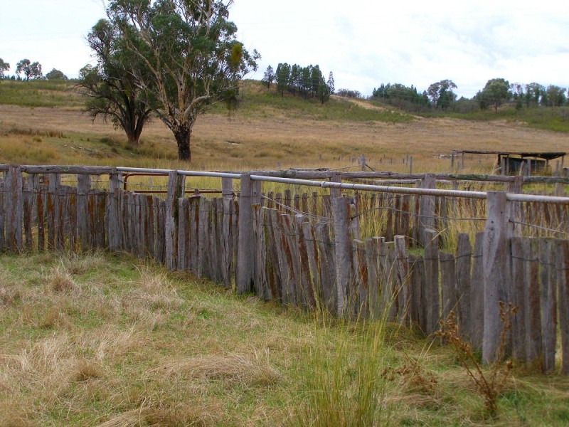 2075 Emmaville Road, Ashford NSW 2361