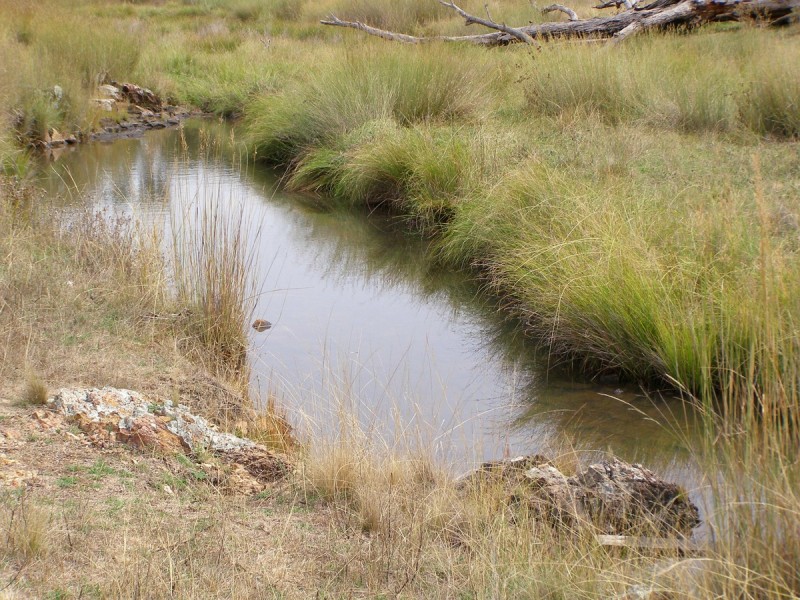 2075 Emmaville Road, Ashford NSW 2361