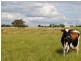 Inverell NSW 2360