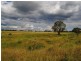 Inverell NSW 2360