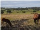 Inverell NSW 2360
