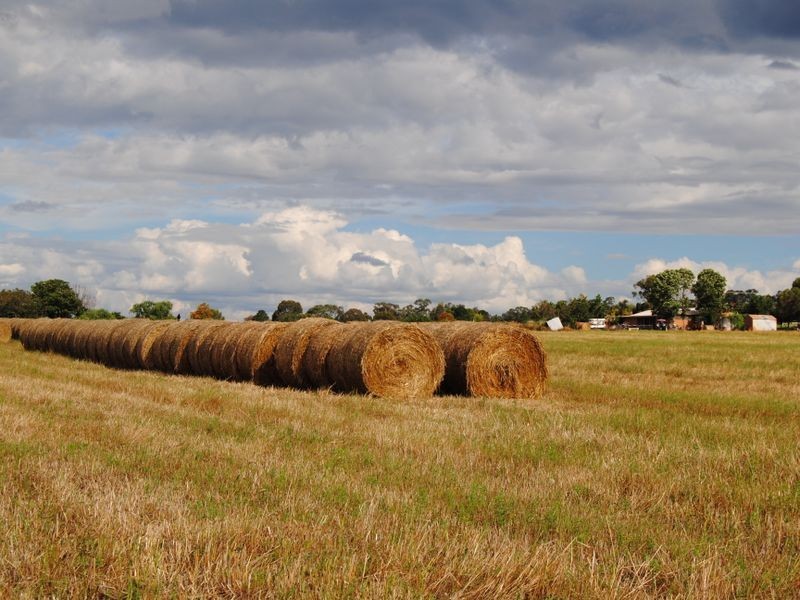 Inverell NSW 2360