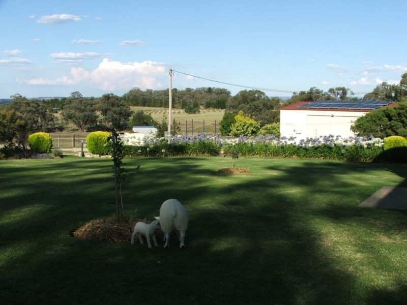 533 Fernhill Road, Inverell NSW 2360