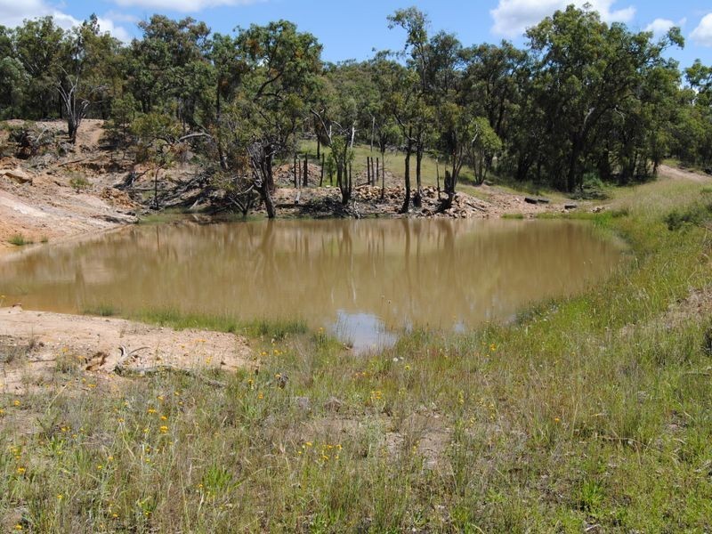 Glenalva Leviathan RD, Inverell NSW 2360