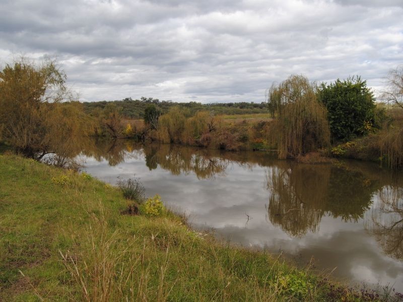 179 Dintonvale Road, Inverell NSW 2360