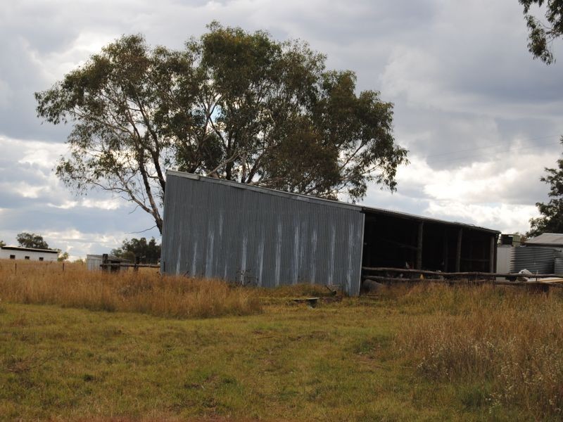179 Dintonvale Road, Inverell NSW 2360