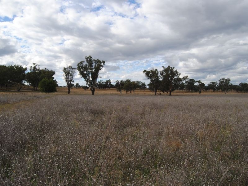 179 Dintonvale Road, Inverell NSW 2360