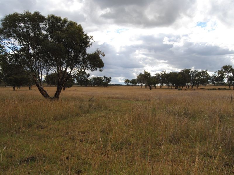 179 Dintonvale Road, Inverell NSW 2360