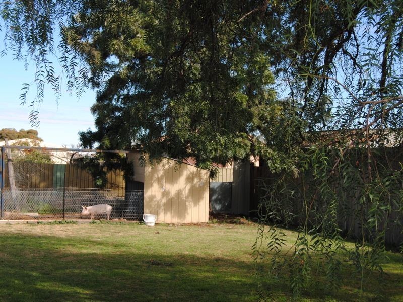 4 Burnett Street, Delungra NSW 2403