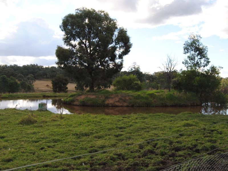 4051 Bundarra Road, Inverell NSW 2360