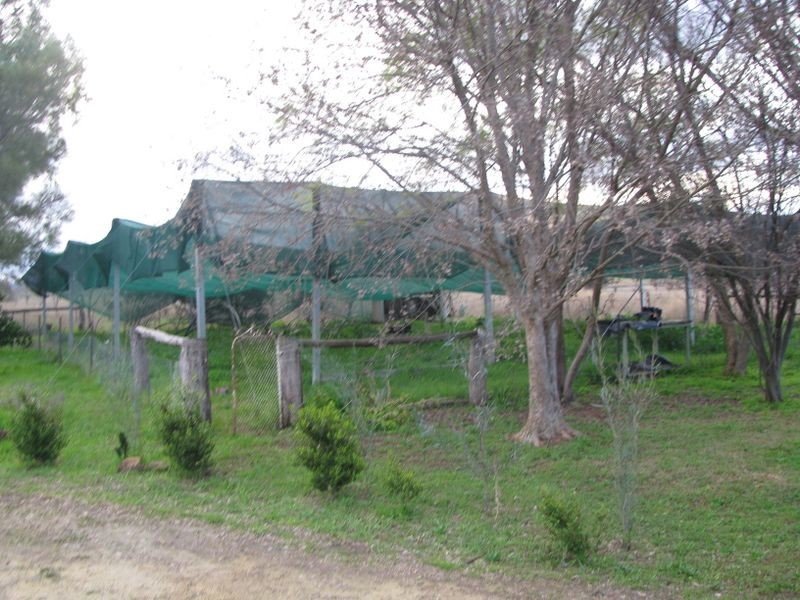 2086 Ashford RD, Inverell NSW 2360