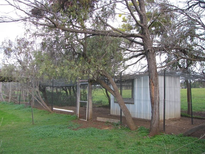 2086 Ashford RD, Inverell NSW 2360