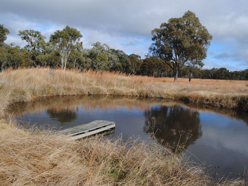 12580 Guyra Road, Inverell NSW 2360