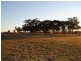 9 Masons Lane, Inverell NSW 2360