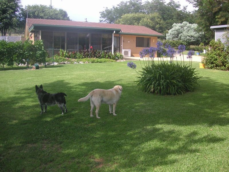 7068 Gwydir Highway, Inverell NSW 2360