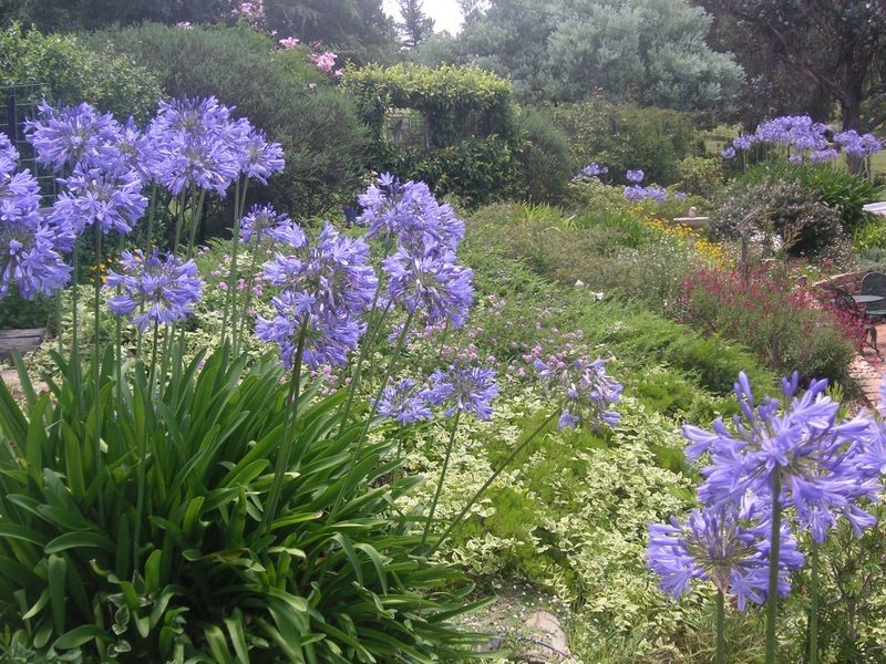 7068 Gwydir Highway, Inverell NSW 2360