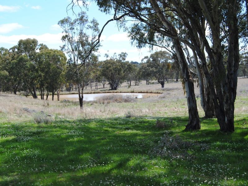 1027 Woodstock Road, Inverell NSW 2360