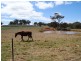 1027 Woodstock Road, Inverell NSW 2360