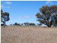 1027 Woodstock Road, Inverell NSW 2360