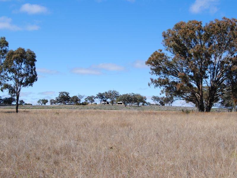 1027 Woodstock Road, Inverell NSW 2360