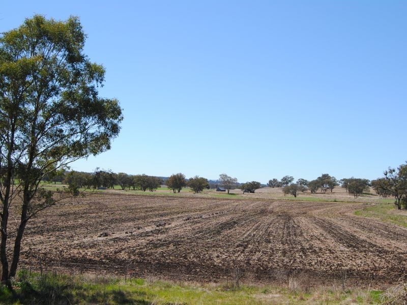 122 Roseneath Road, Inverell NSW 2360