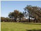 122 Roseneath Road, Inverell NSW 2360