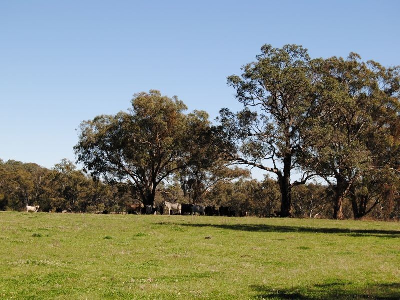 122 Roseneath Road, Inverell NSW 2360