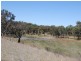 122 Roseneath Road, Inverell NSW 2360