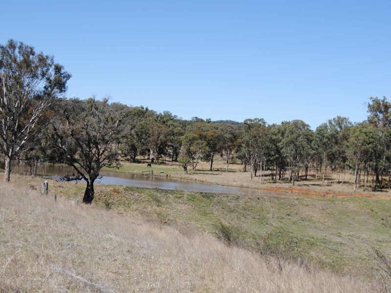 122 Roseneath Road, Inverell NSW 2360