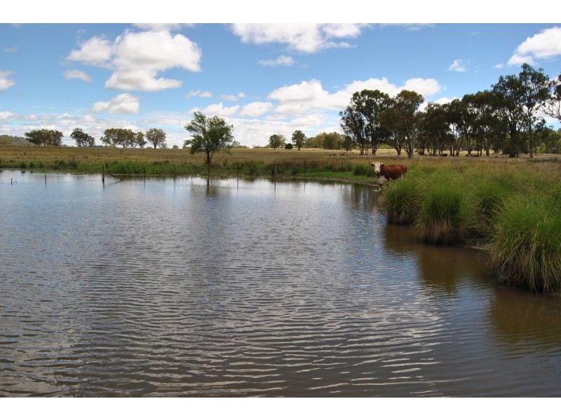 Onus Road, Inverell NSW 2360